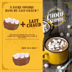 Coffret Cadeau Noël Boules Coco Guimauve enrobés Chocolat Noir ou Lait